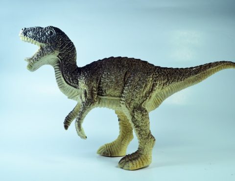 a dinosaurus rexamundus