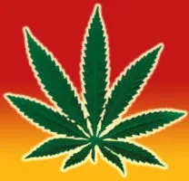 image of the cannabis leaf